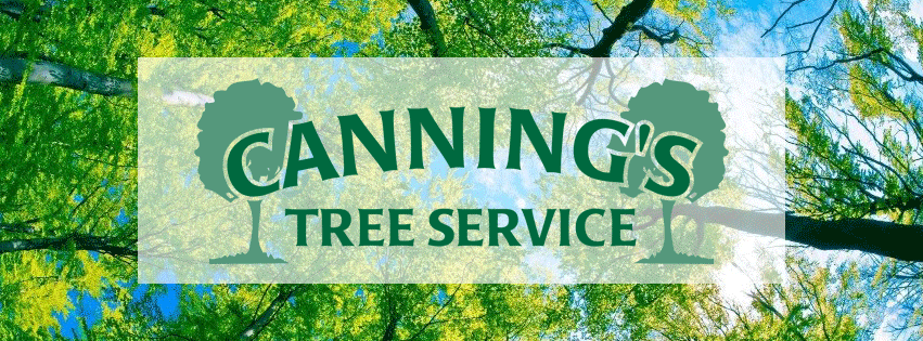 Cannings Tree Removal Service